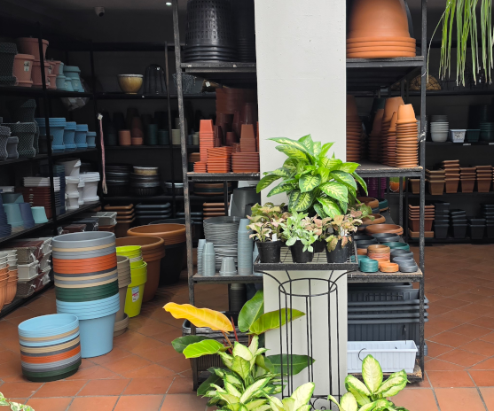 pots