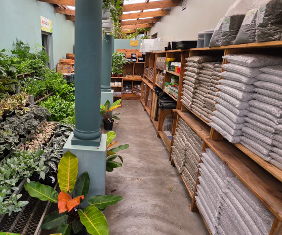 growing mediums and stone