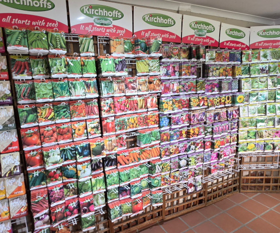 seeds and bulbs